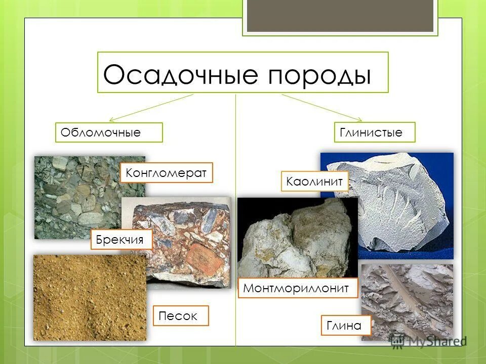 Осадочные породы. Органические осадочные породы. Осадочные органические горные породы. К осадочным горным породам относятся.