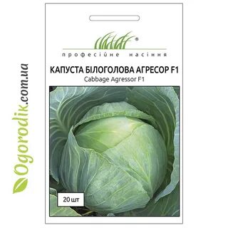 Капуста сорт агрессор характеристика