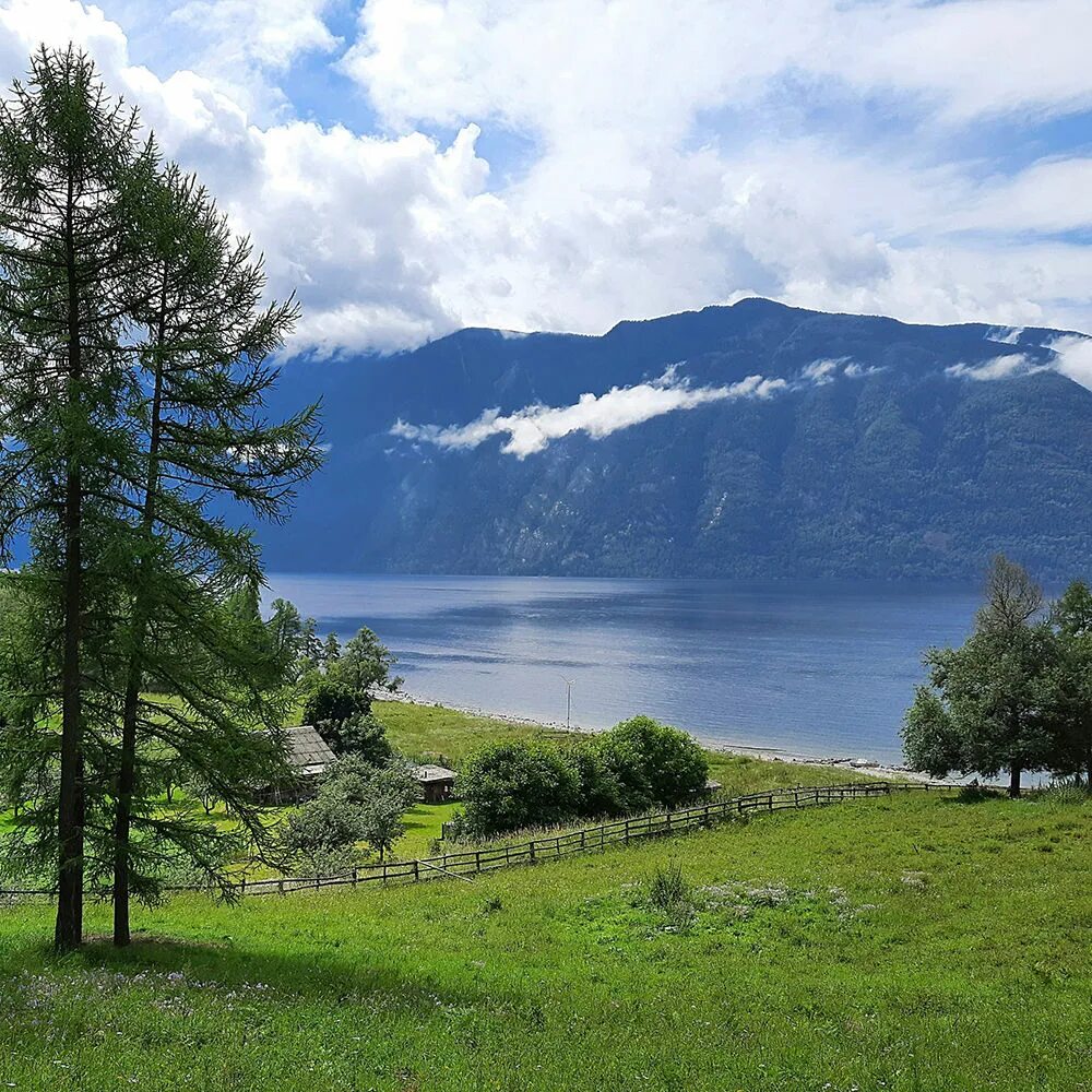 Альпийский рельеф на алтае. Заповедник алтайский заповедник. Алтайский биосферный заповедник телецкое озеро. Алтайский государственный заповедник. Телецкое озеро заповедник.