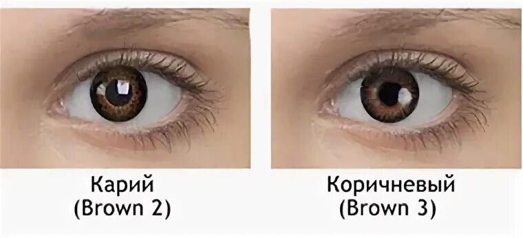 Fusion brown. OKVISION линзы Brown. Линзы Fusion Brown 3. Линзы Глори 462 Brown. Fusion Braun 2 линзы.