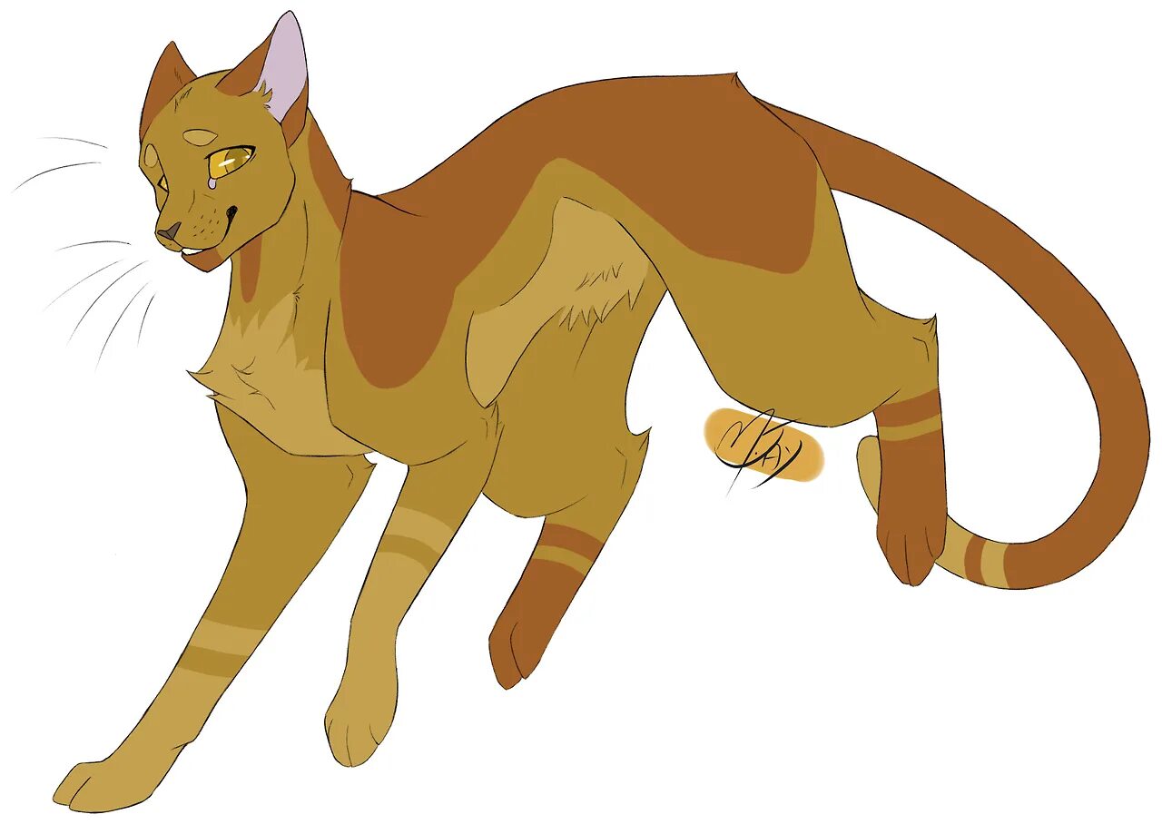 Коты воители тыквы 2025. Коты воители marymsjay. marymsjay-warriors-art коты воители. коты воители brackenfur. коты воители marymsjay огнезвёзд.