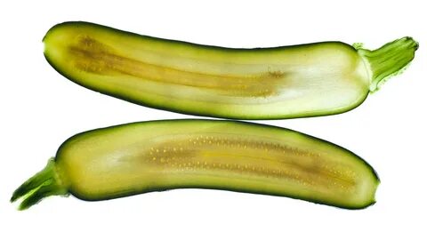 How to Cook That Massive Zucchini That's Growing in Your Garden.