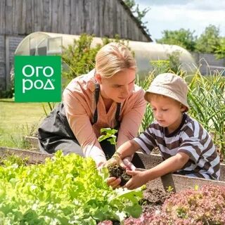 Станция огород