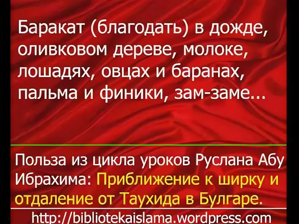 Баракат что означает. Дождь Баракат. Как обрести Баракат. В Дожде есть Баракат в Исламе. Лошадь Баракат до Судного дня.