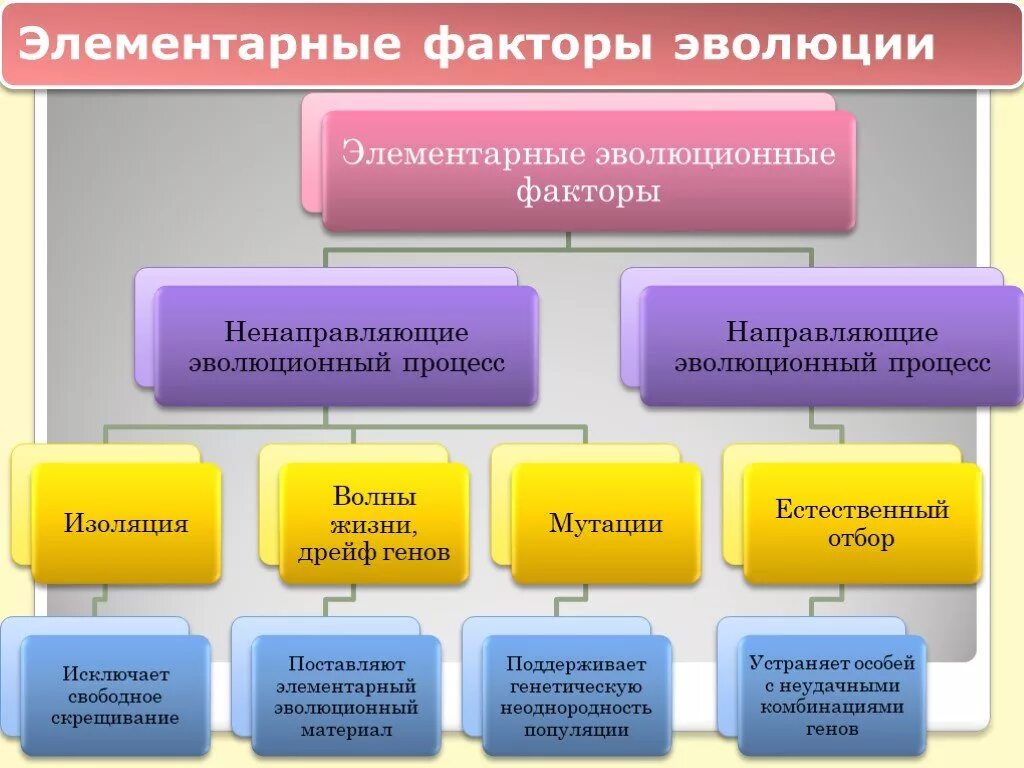 Элементарные факторы эволюции таблица биология 9 класс. Элементарные эволюционные факторы схема. Факторы эволюции 9 класс биология. Элементарные революционные факторы.