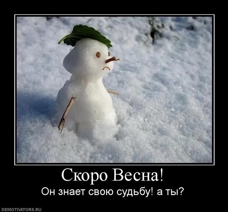 Каждую весну вот уже пятый год подряд. Приколы про зиму и весну. зимние статусы.