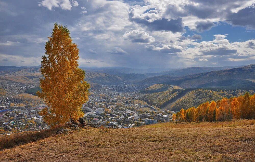 Село ело алтайского края. Предгорье Алтая осенью. Горно-Алтайск осень. Горно-Алтайск осенний. Алтайский край осень.