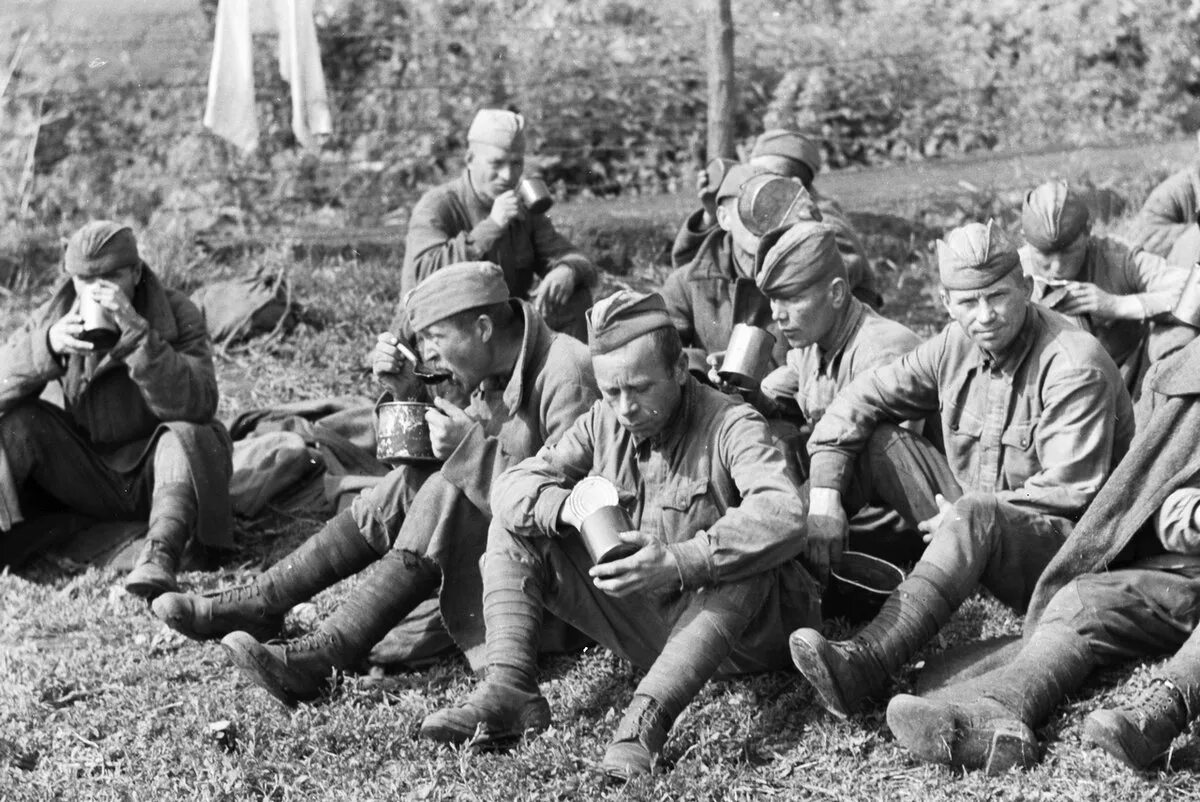 Пленные красноармейцы 1941 унтерменш. Пленные ветераны. Пленные ветераны. Пленные командиры ркка 1941. Пленные офицеры ркка 1941.