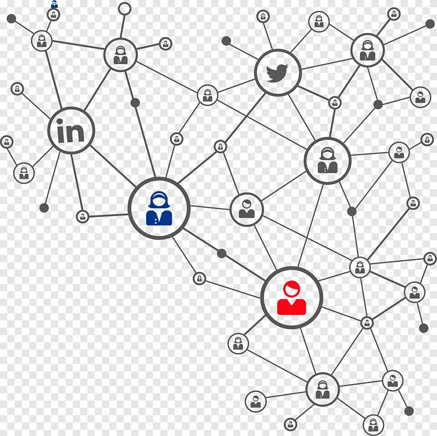 Networked organization. Networked organization