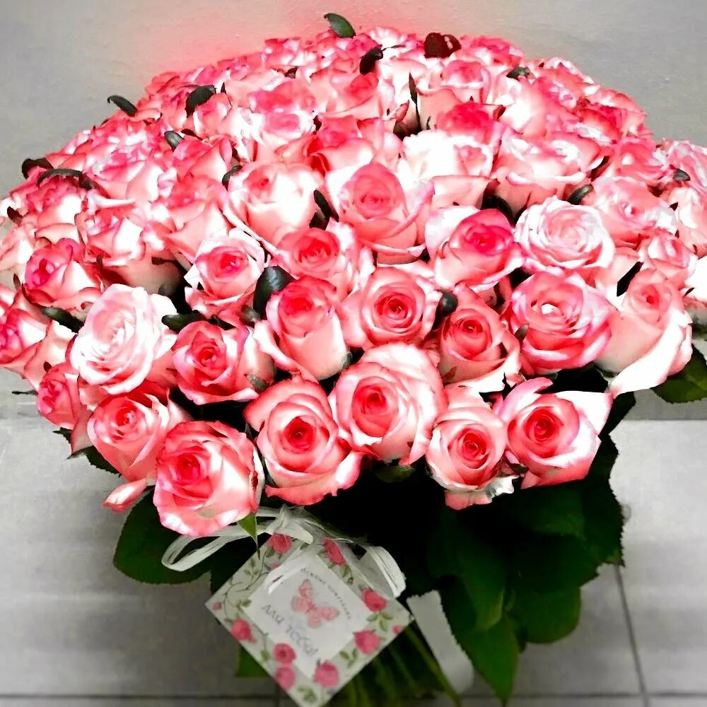 С днем рождения огромные розы. 101 Джумилия. Букет шикарный. Огромный букет цветов.