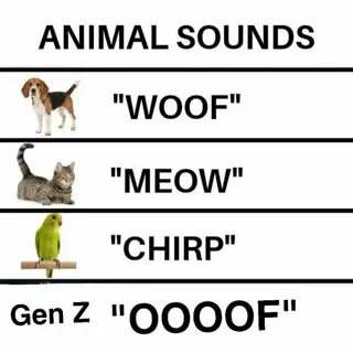 Meme gen