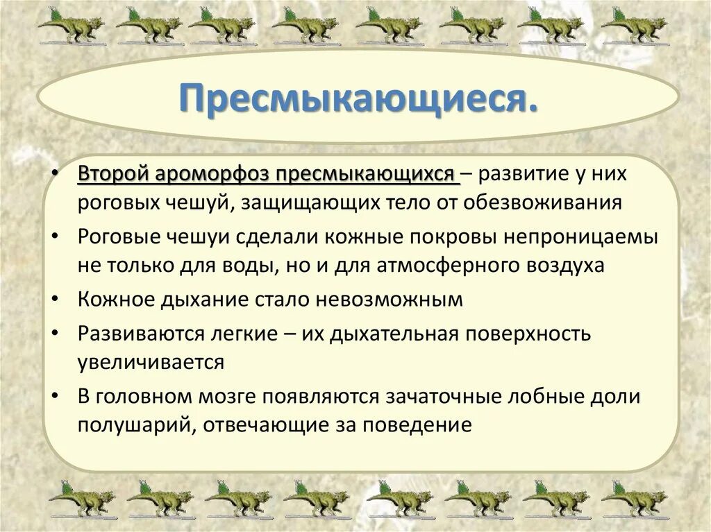 Ароморфозы класса пресмыкающихся. Ароморфозы рептилий. Ароморфозы пресмыкающихся. Ароморфоз примыкающих. Основные ароморфозы рептилий.