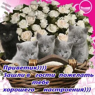 Зашла пожелать доброго