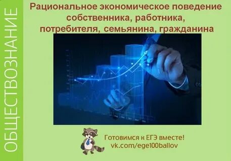 Рациональное поведение егэ обществознание