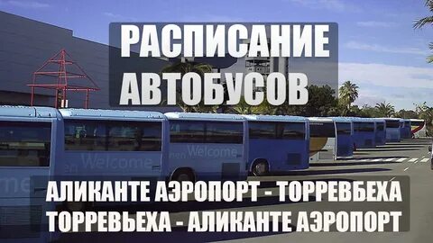 Автобусы торревьехи