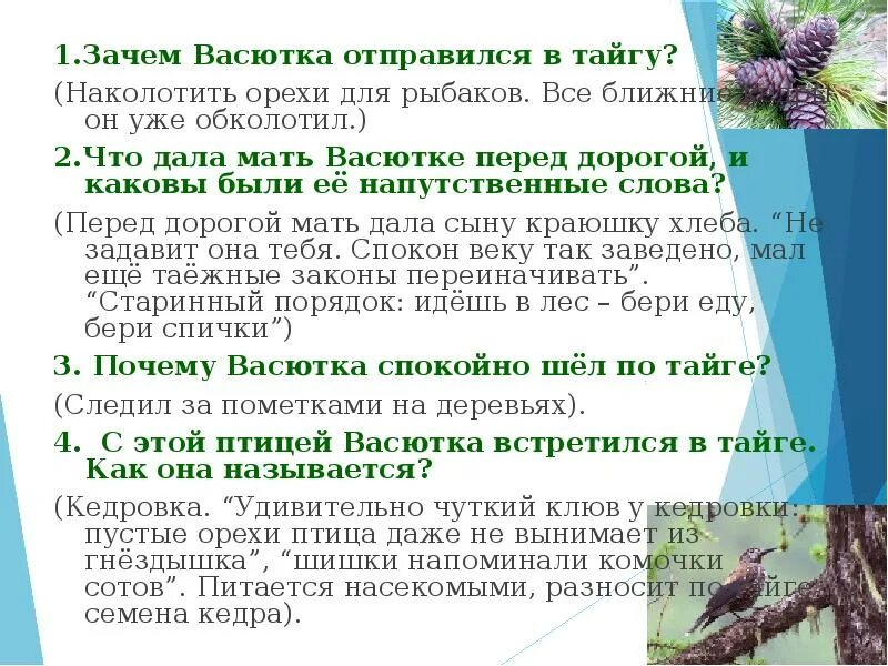 Почему васютка показал озеро рыбакам. Зачем Васютка отправился в тайгу. Зачем Васютку отправили в тайгу. Зачем Васютка отправился в лес. Сообщение о Васютке.