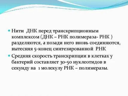 Днк перед