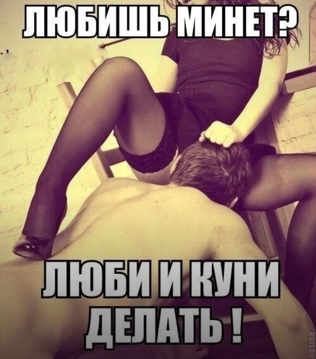 Куни Каждое Утро