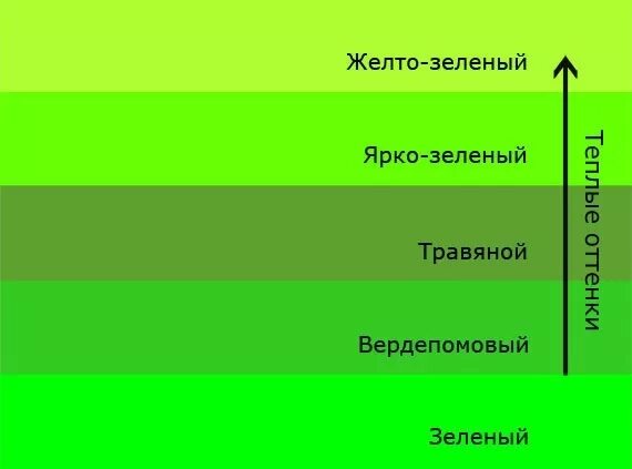 Выделены зеленым цветом. Теплый зеленый цвет. Теплые оттенки зеленого. Травянисто зеленый цвет. Как называется ярко-зеленый цвет.