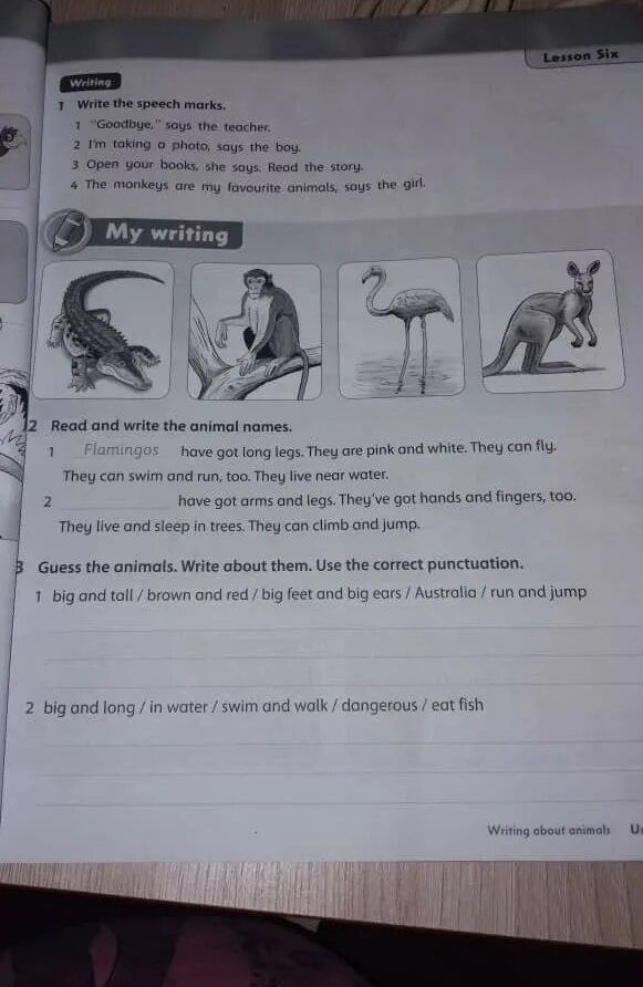 Write about animals перевод. Guess the animals write about them. animal writes. guess the animals write about them ответ. выбери животное.write about it.