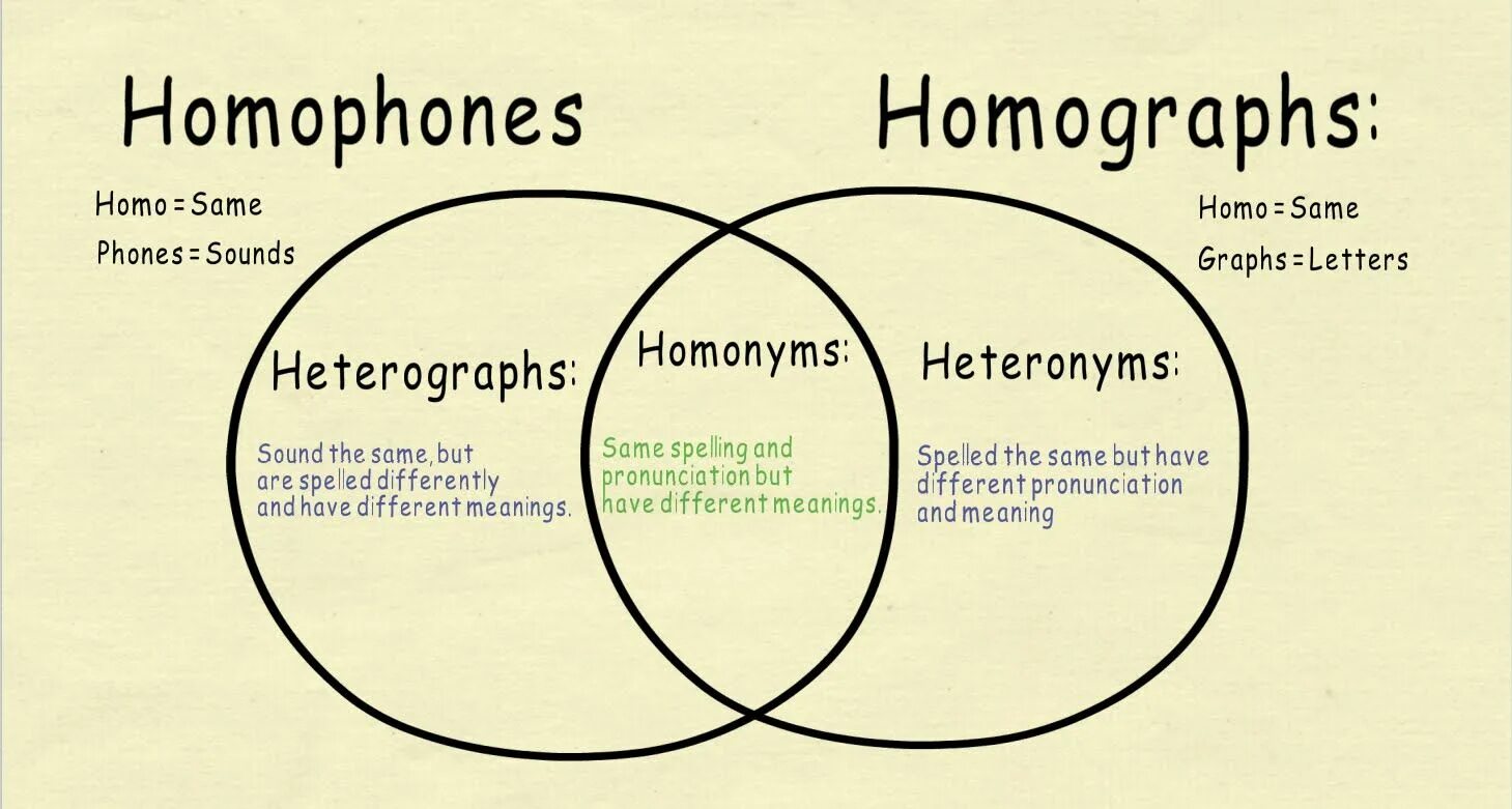 Including the same. Homonyms and homophones. Homonyms homographs homophones. Homographs в английском языке. Types of homonyms.