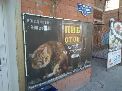 Стоп ростов