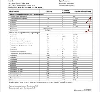 Оак отзывы
