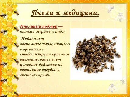 Подмор свойства и применение