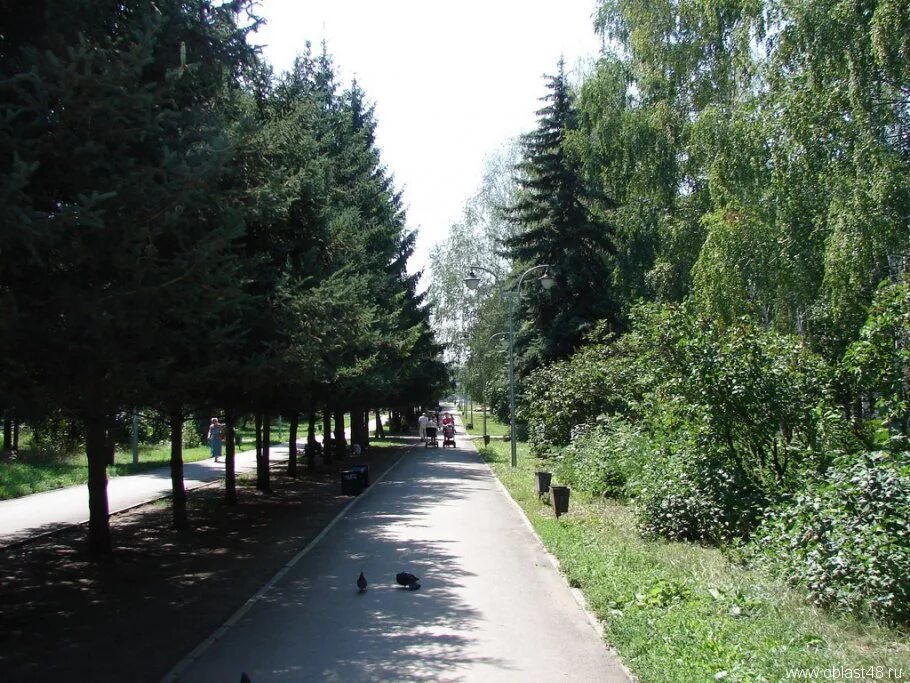 парк 30 летия победы краснодар. город липецк парк победы. парк победы липецк. парки липецка фото. парки липецка фото.