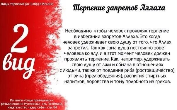 Типы терпения. Три вида терпения в исламе. Три качества терпения ислам. Терпение. Типы терпения.