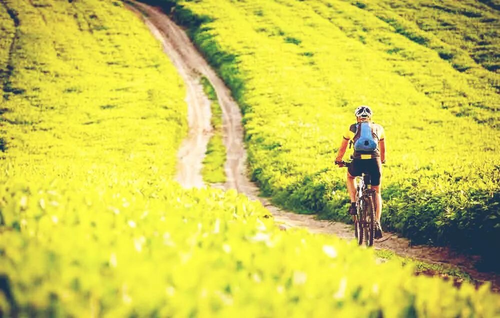 Get on the bike. Спорт на природе. Человек природа спорт. Спорт на природе картинки. Ассоциация с природой спорт.