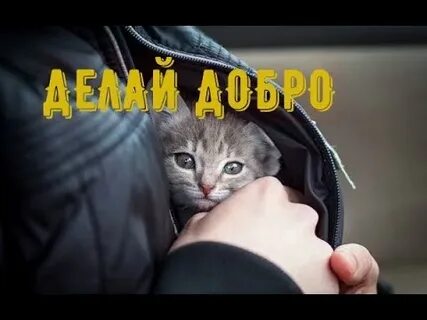 Сборник видео добро