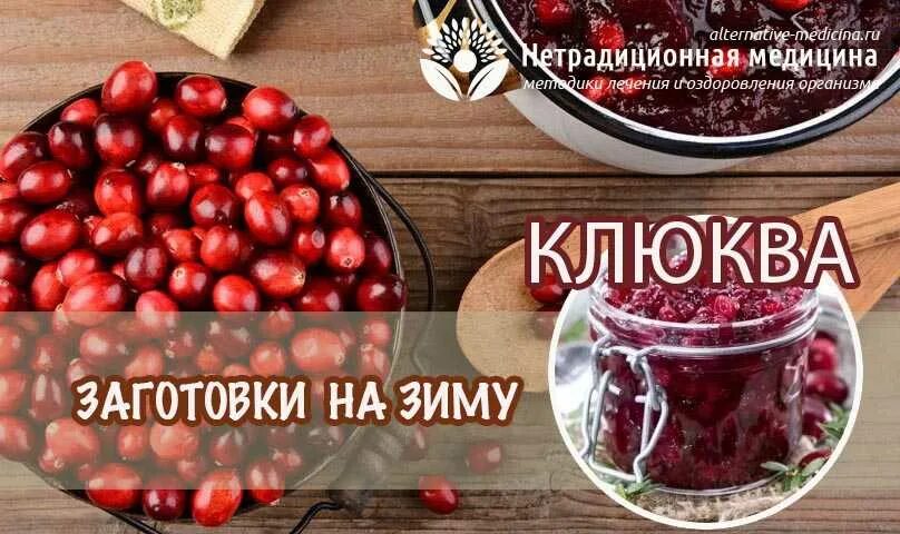 Клюква на зиму рецепты. Заготовка клюквы. клюква рецепты на зиму. клюква на зиму заготовки рецепты лучшие. клюква зимой картинки.