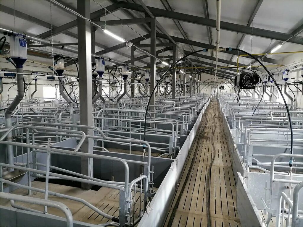 Транспортная реформа ярославль. Система белгород. Media systems агентство. , 8к1. Система белгород.