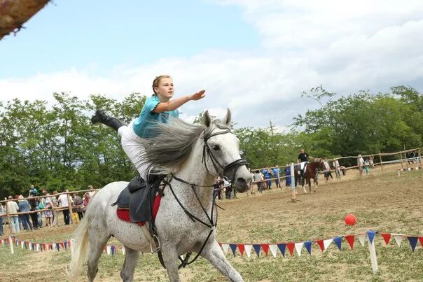 конный спорт волгоград