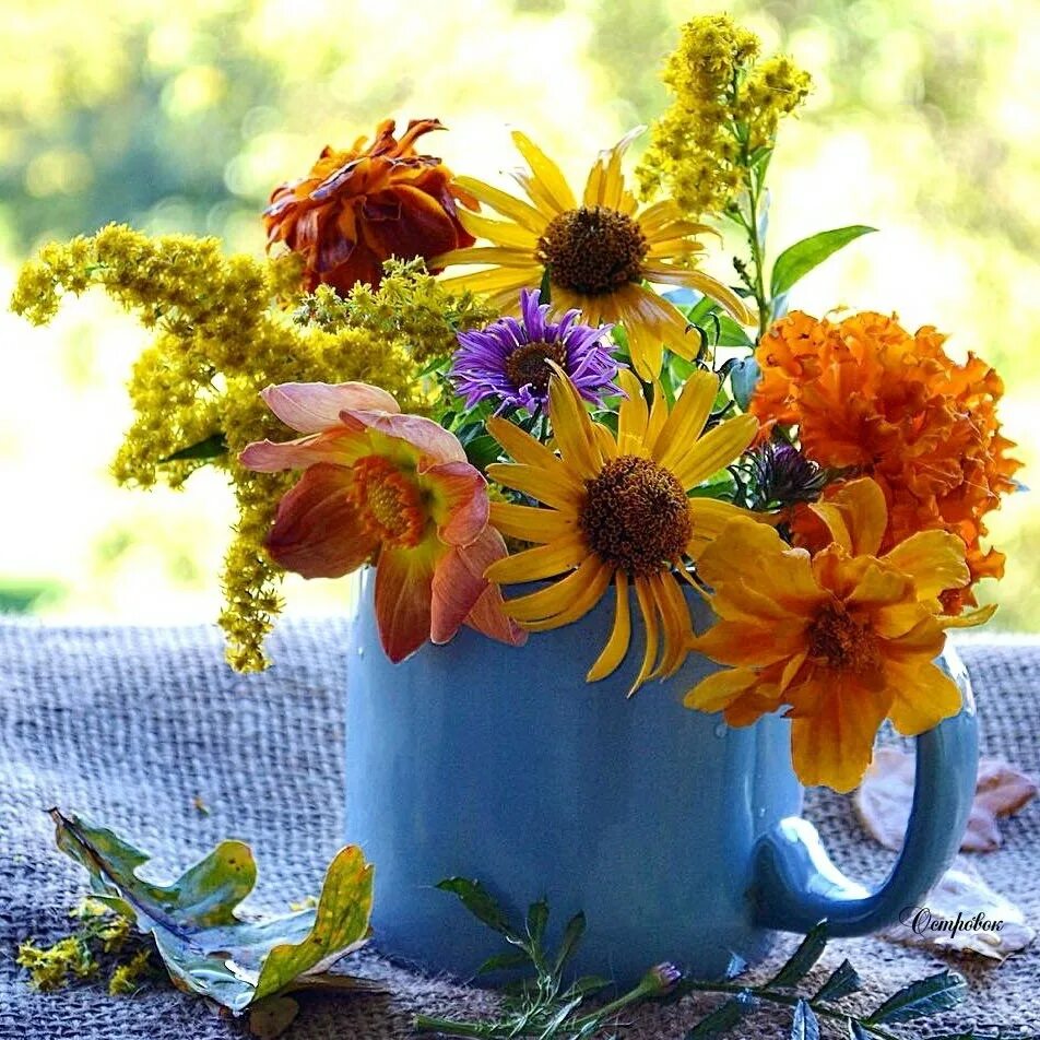 Осень красивое утро картинки. Осенние цветы. Доброе солнечное осеннее утро. Утренние цветы осень. Утро осень букет.