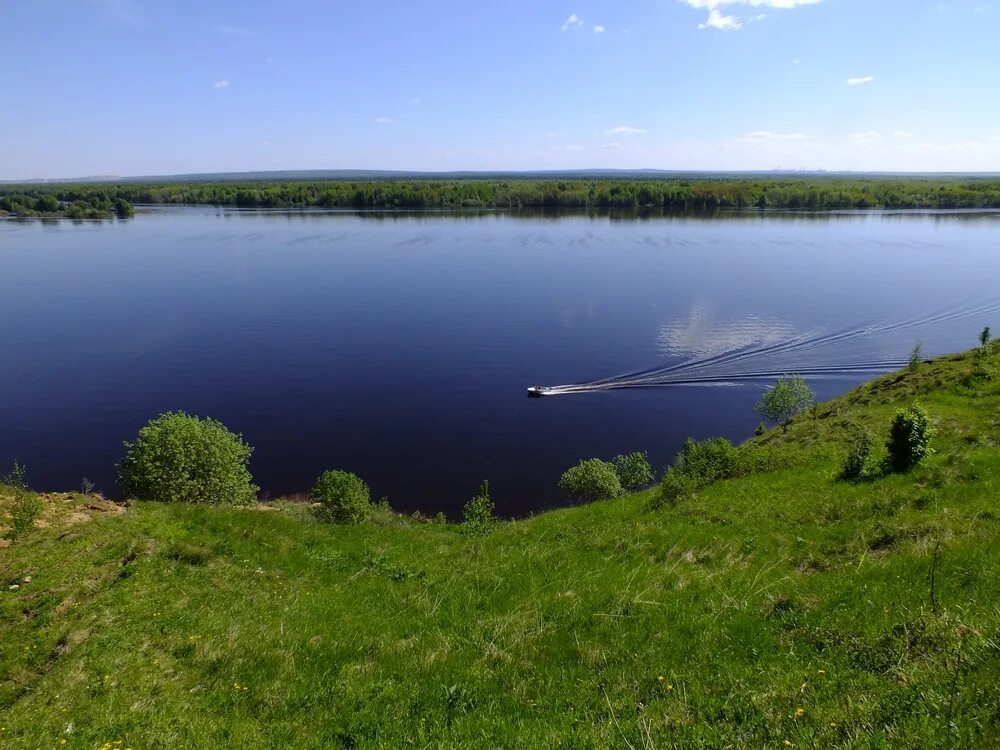 Поселок орел