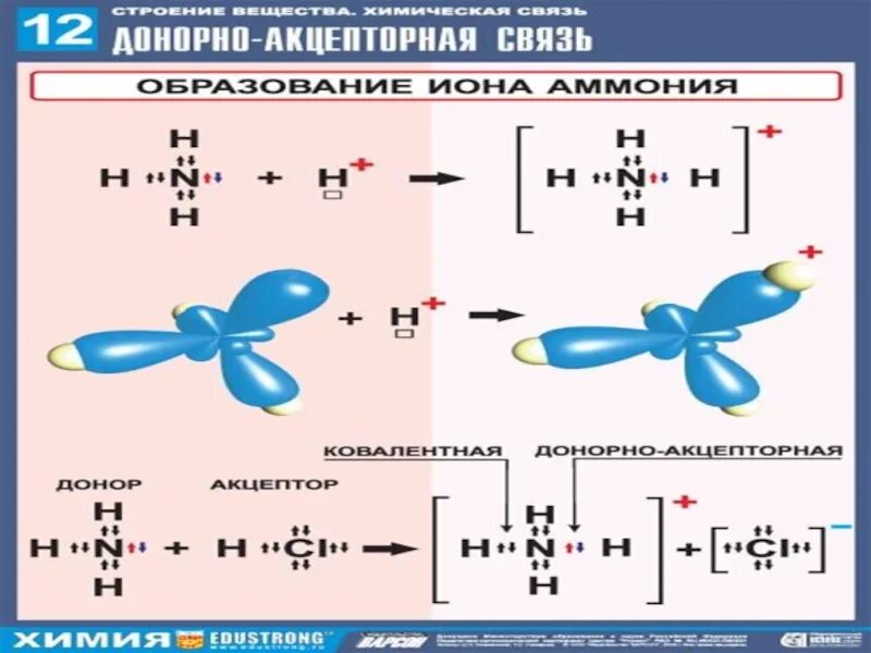 Тип хим связи nh3. Nh3 ковалентная связь. ковалентная химическая связь nh3. схема образования химической связи nh3. nh3 механизм образования химической связи.