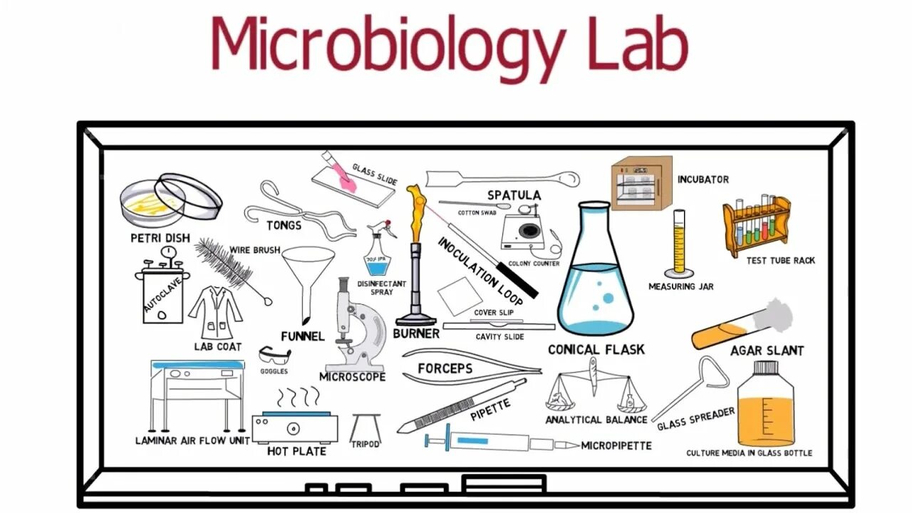 Laboratory methods. Microbiology laboratory. methods of microbiology lab. magistr microbiology. microbiology laboratory needs.