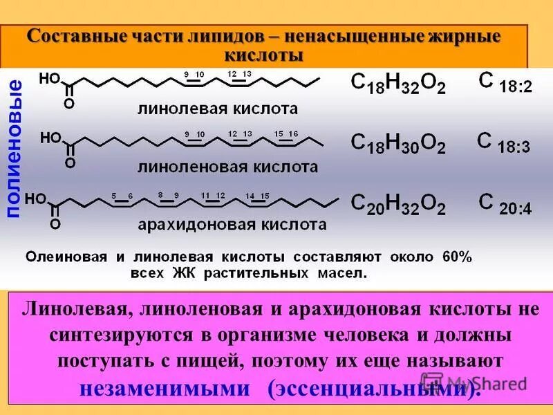 Линолевая линоленовая и арахидоновая кислоты. Линоленовая кислота формула биохимия. Арахидоновой, линолевой и линоленовой кислот. Олеиновая кислота линолевая кислота. Жиры характеризуются