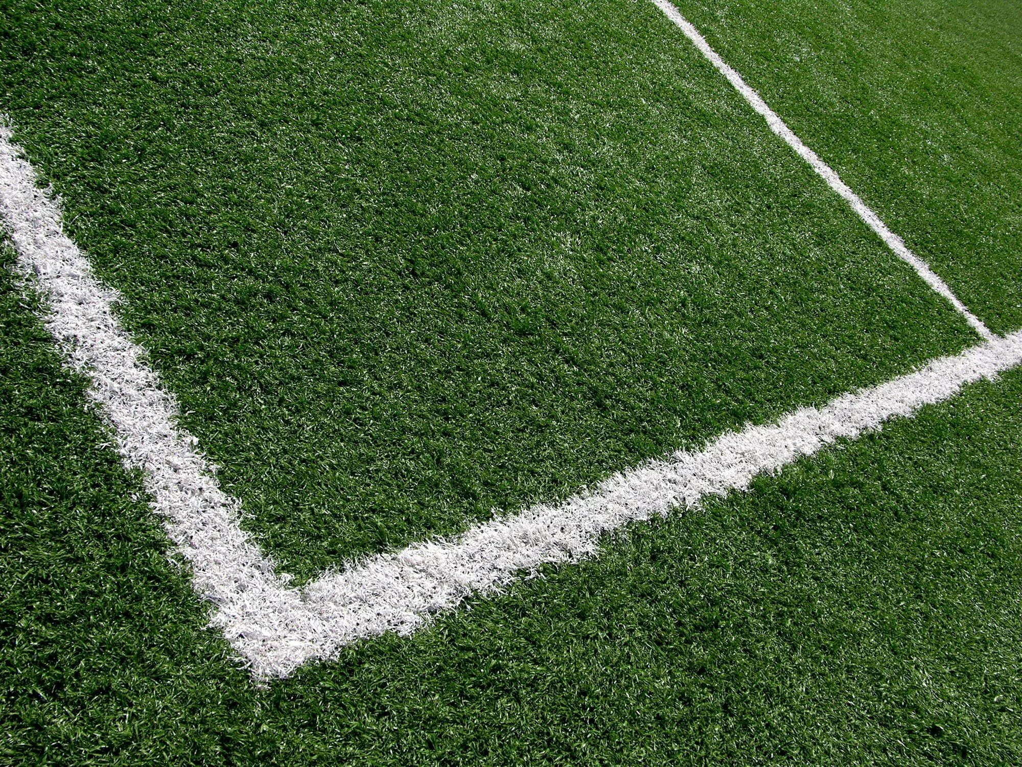 Футбольное поле. Газонная трава футбольное поле. Футбольное поле трава. Футбольный газон. Футбольный газон мятлик луговой.