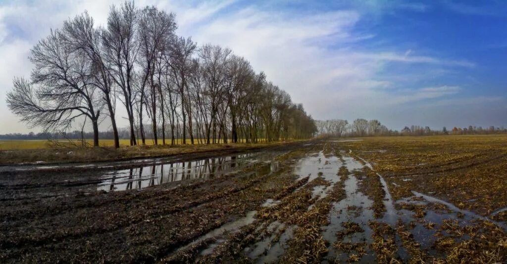 Поле весной картинки. Поле весной. Поле ранней весной. Пашня весной.