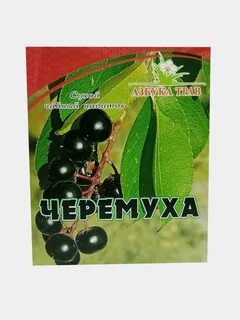 Черемухи плоды аптека