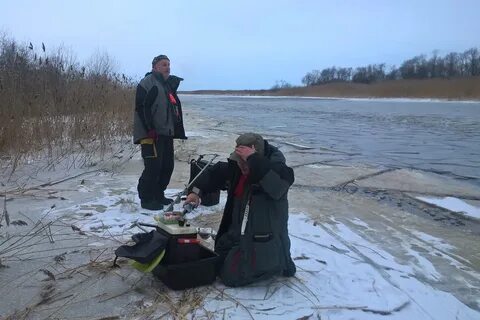 Погода леднево ленинградская область кировский