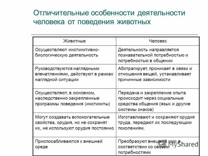 Особенности деятельности животных. Особенности деятельности человека и поведения животных. Отличие деятельности человека от активности животных.