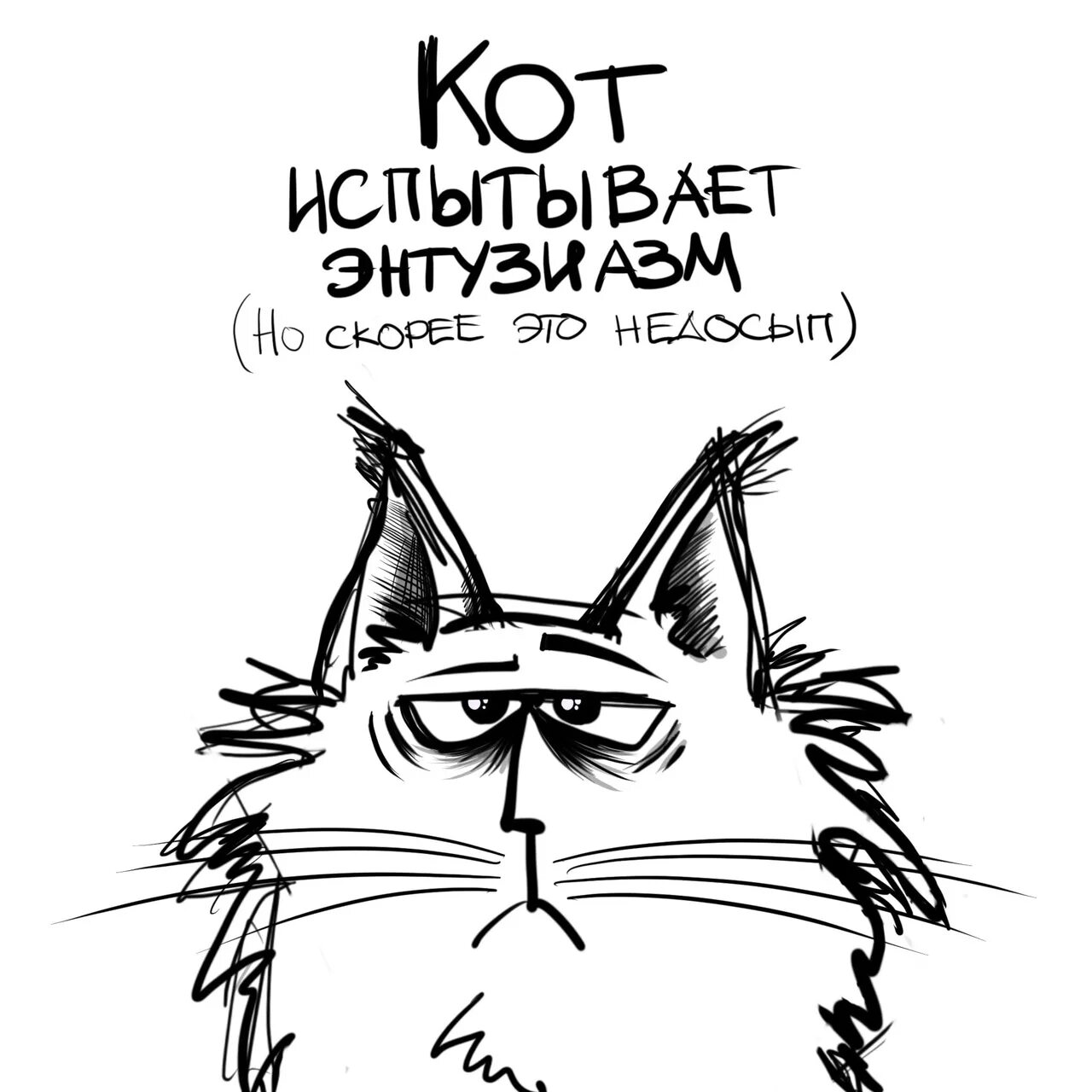 Кот опять. Котик понедельник. утро понедельника кот. кот понедельник мем. кот в понедельник рисунки.