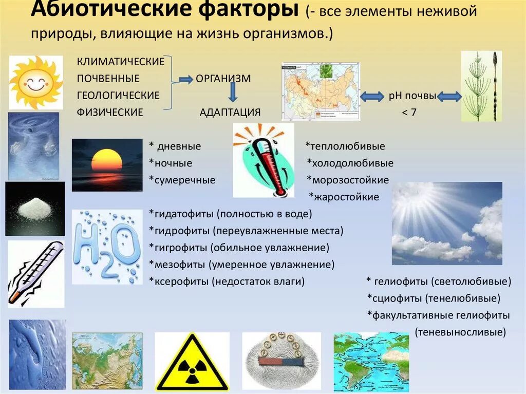 Физические процессы живых организмов. Абиотические факторы. Абиотические факторы примеры. Физические абиотические факторы. Абиотические факторы это факторы.