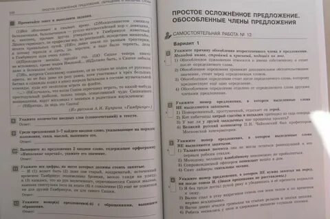 Русский язык тематический контроль 8 класс
