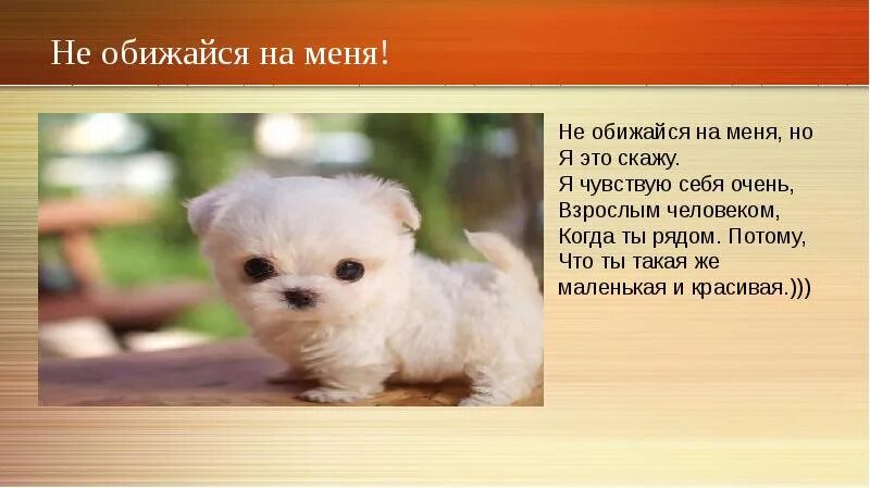 Не сердись на меня картинки. Не сердись. Ты на меня злишься картинка. Кот обиделся. Открытка не обижайся на меня.