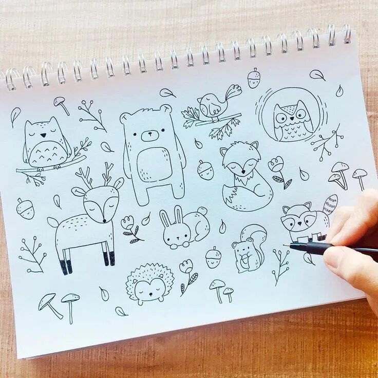 Make a draw
